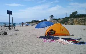 Gossos a la platja de Sant Gervasi