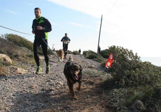 Eix. Imatge d'arxiu del Canicròs del Garraf