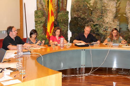 Eix. Imatge del ple de Sant Sadurní