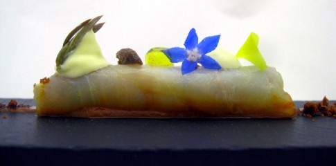 IMG_8731edited-485x240