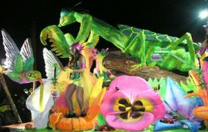 Ajuntament d'Olèrdola. La colla de carnaval de Sant Pere Molanta 