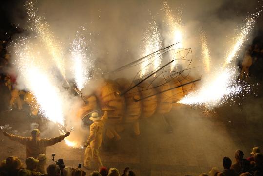 Ajt Sant Sadurní d'Anoia. La Festa de la Fil·loxera