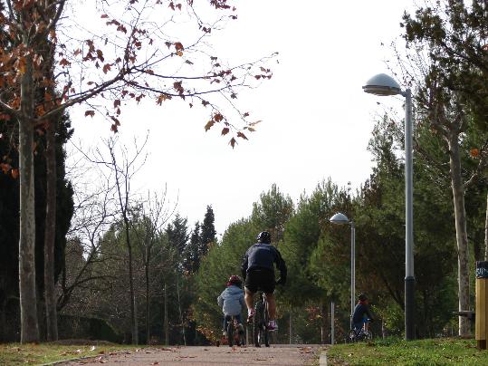Sta Margarida  els Monjos. Llums del parc urbà del Foix