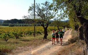 Mitja Marató Rural de Ribes