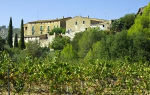 Acna. Olivella