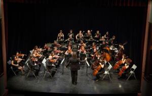 EIX. Orquestra Camera Musicae (OMC)