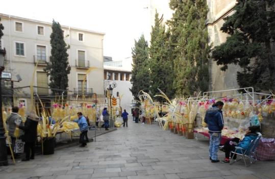 Palmes 2012 002