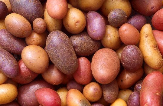 Eix. Patates