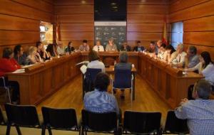 Ajuntament del Vendrell. Ple municipal del Vendrell