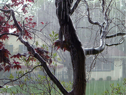 EIX. Pluja