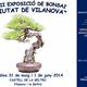 XVII+Exposici%c3%b3+de+Bonsai+%22Ciutat+de+Vilanova%22