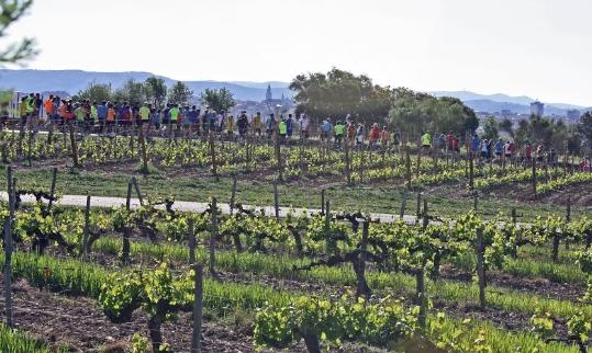 Eix. Primera edició de l'Enocursa celebrada el 2013