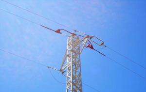 Endesa. Reformen una línia elèctrica a Sitges per protegir una parella d'àligues cuabarrada 