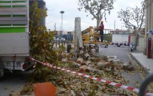 Retiren un arbre de la plaça dOrient del Vendrell per seguretat