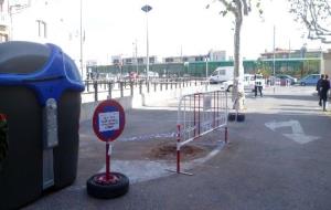 Retiren un arbre de la plaça dOrient del Vendrell per seguretat