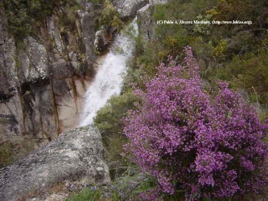 Ajuntament de Lobios. Ruta da Corga da Fecha