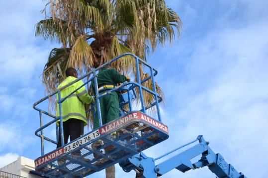 Ajuntament de Sitges. Sitges estrena nous programes formatius i docupació subvencionats