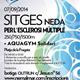 Sitges+neda+per+l%27esclerosi+m%c3%baltiple