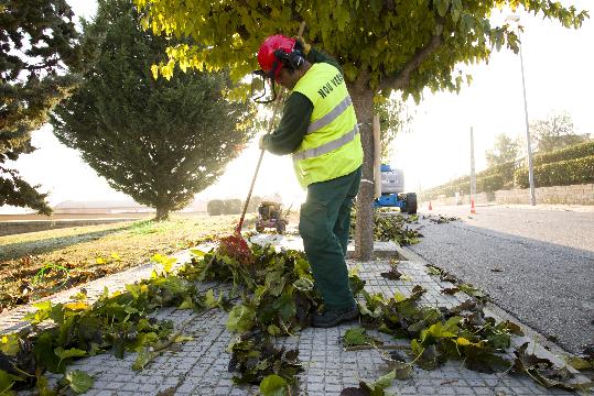 Nou Verd. Treballador de la cooperativa vilafranquina Nou Verd