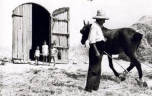 Vida quotidiana a lAlt Penedès (1870-2000). Des del microcosmos de la Rovira Roja (Sant Martí Sarroca)