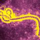 Xerrada+%22Conviure+++amb+l%27ebola%22