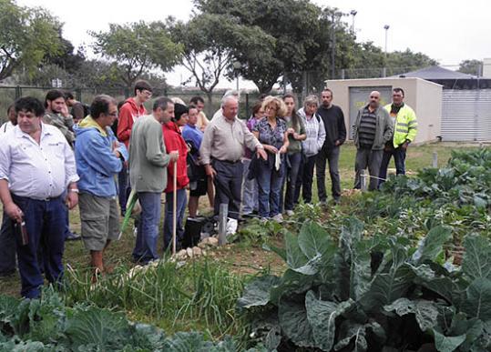 Eix. Visita als horts urbans ecològics a Vilanova