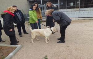 Ajuntament del Vendrell. Voluntaris del Refugi d'animals del Vendrell participen en un taller per tenir cura dels gossos