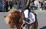 Tres Tombs Vilanova i la Geltrú