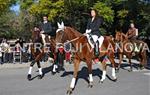 Tres Tombs Vilanova i la Geltrú