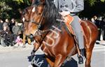 Tres Tombs Vilanova i la Geltrú