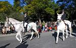 Tres Tombs Vilanova i la Geltrú