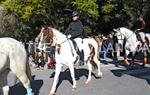 Tres Tombs Vilanova i la Geltrú