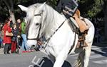 Tres Tombs Vilanova i la Geltrú