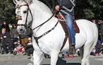 Tres Tombs Vilanova i la Geltrú