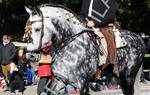 Tres Tombs Vilanova i la Geltrú