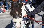 Tres Tombs Vilanova i la Geltrú