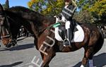 Tres Tombs Vilanova i la Geltrú