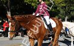 Tres Tombs Vilanova i la Geltrú