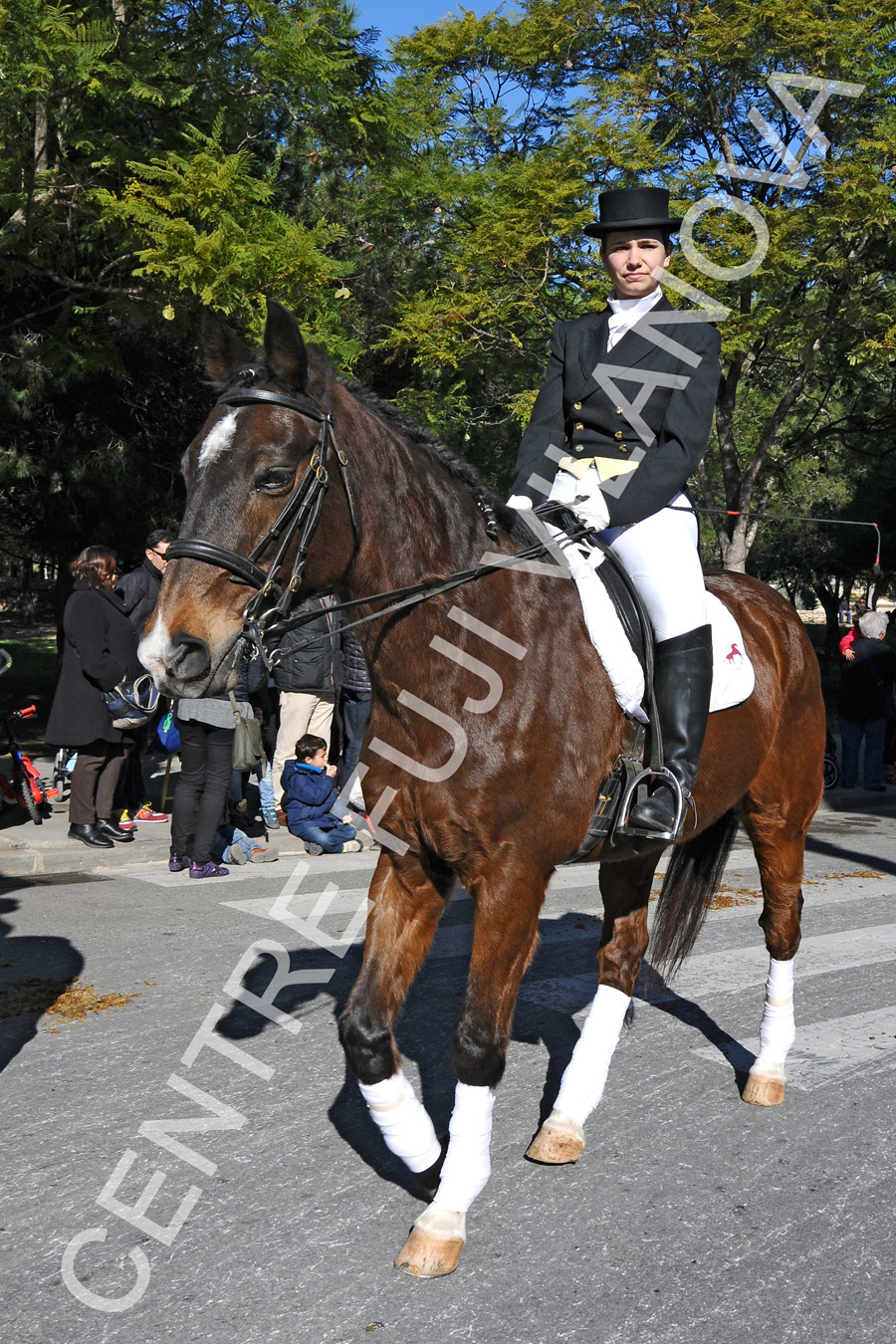 Tres Tombs Vilanova i la Geltrú. Tres Tombs Vilanova i la Geltrú