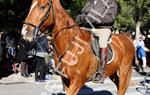 Tres Tombs Vilanova i la Geltrú