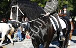 Tres Tombs Vilanova i la Geltrú