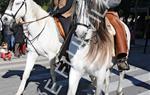 Tres Tombs Vilanova i la Geltrú