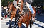 Tres Tombs Vilanova i la Geltrú