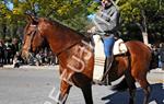 Tres Tombs Vilanova i la Geltrú