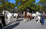 Tres Tombs Vilanova i la Geltrú