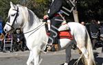 Tres Tombs Vilanova i la Geltrú