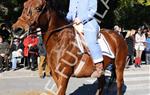 Tres Tombs Vilanova i la Geltrú