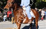 Tres Tombs Vilanova i la Geltrú