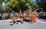 Tres Tombs Vilanova i la Geltrú