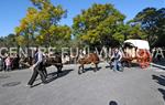 Tres Tombs Vilanova i la Geltrú